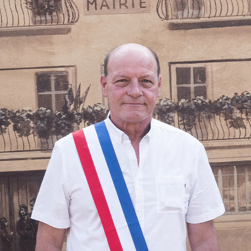 Didier Malé